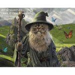 Catdalf (image for) Catdalf